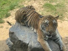 -济南野生动物世界
