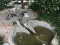 -活水公园