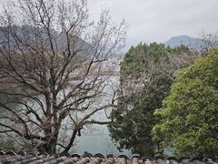 -蒋氏故居