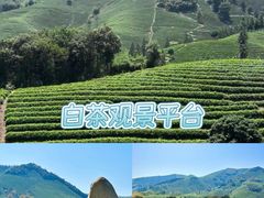 -阿露佳·舌尖上的安吉菜