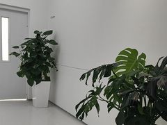 -极简口腔(总院)