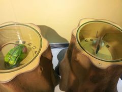 android_upload_pic-上海昆虫博物馆