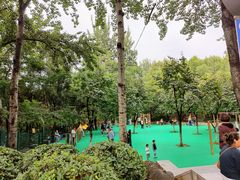 -西安市长乐公园