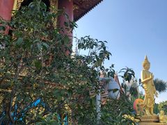 -西双版纳总佛寺