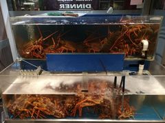 -Sun World Chinese Restaurant 新世界海鲜酒家