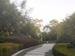-上海崇明金茂凯悦酒店