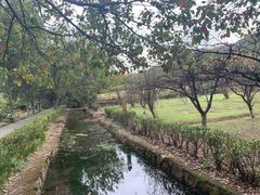 -白马涧龙池景区