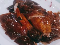-鸿达渔港
