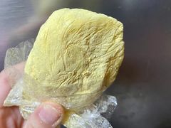 松花晶团糕-江南春(中山中路店)