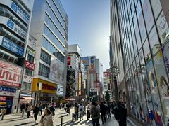 -秋叶原电器街