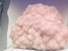 -重庆自然博物馆(新馆)