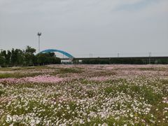 -阳澄湖半岛旅游度假区