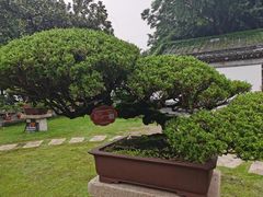 -水绘园