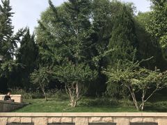 -玲珑塔公园