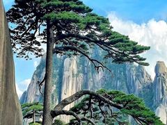 -黄山风景区