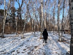 -长春市南湖公园