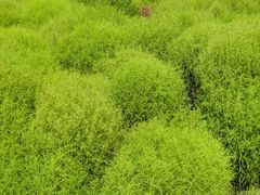 -天津东丽湖风景区