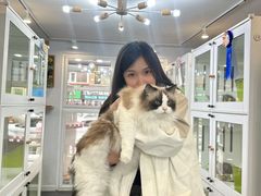 -青奢宠物·青奢猫舍