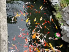 -西林禅寺