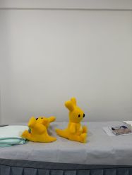 -上海首尔丽格医疗美容医院