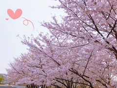 -龙美术馆(西岸馆)