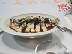 -宛平九号