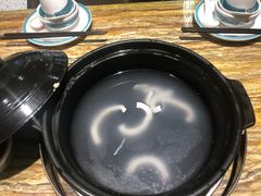 -春润大地海南椰子鸡(沙井京基百纳广场店)