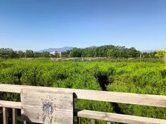 -亲兄弟真人CS团建拓展基地