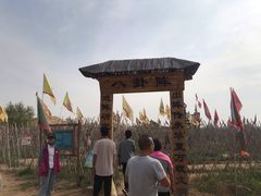 -黄沙古渡原生态旅游区