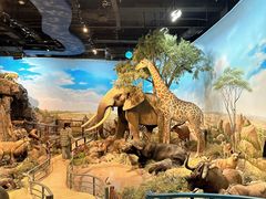 -陕西自然博物馆