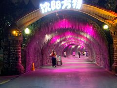 -沈阳方特欢乐世界