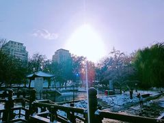 -元大都城垣遗址公园