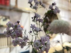 -我嘉书房(南翔名士居店)