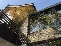 -西院1号(龙井店)