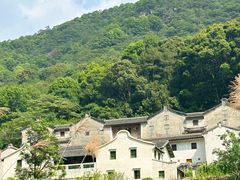 -雁南飞茶田景区