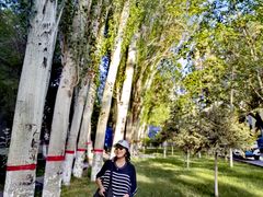 -新疆医科大学第一附属医院