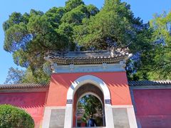 -香山公园