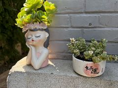 -庐灶江南·江南菜·四合院Bistro(东直门雍和宫·原华侨宾馆店)