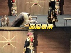 -汕头蓝水星欢乐世界