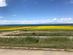 -青海湖国家重点风景名胜区