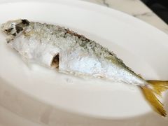 -遇外滩(BFC外滩金融中心店)