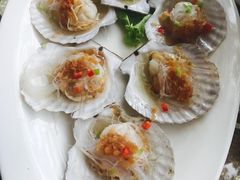 -老虎滩船说·海胆水饺·大连海鲜(老虎滩店)