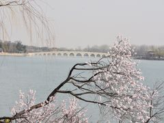-颐和园