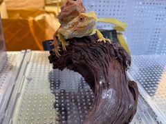 -鹏欣水游城