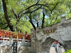 -大槐树寻根祭祖园