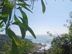 -广东惠东海龟国家级自然保护区