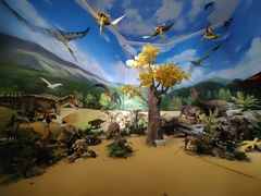 -安徽省地质博物馆