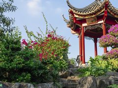 -顺峰山公园