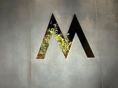 -M Stand(青岛银鱼巷店)