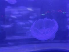-嘉兴海底世界